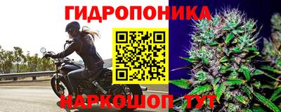 амфетамин Кингисепп