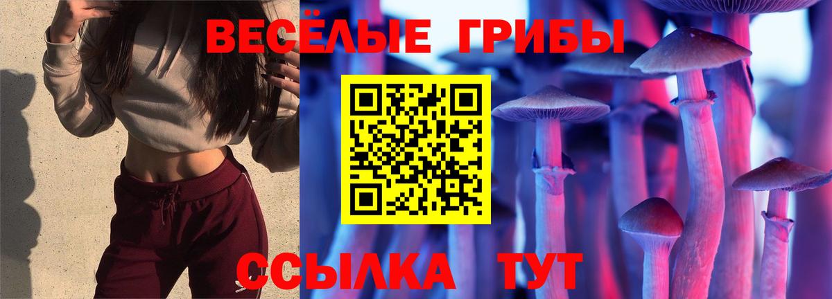 Псилоцибиновые грибы Psilocybe Волоколамск